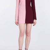 Althea Pink And Burgundy Mini Dress