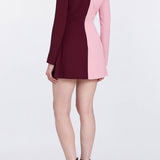 Althea Pink And Burgundy Mini Dress