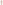 Clooney Laminated Lace Trench Coat